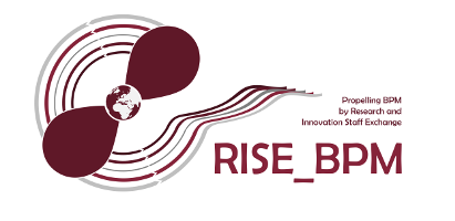 Rise_BPM logo